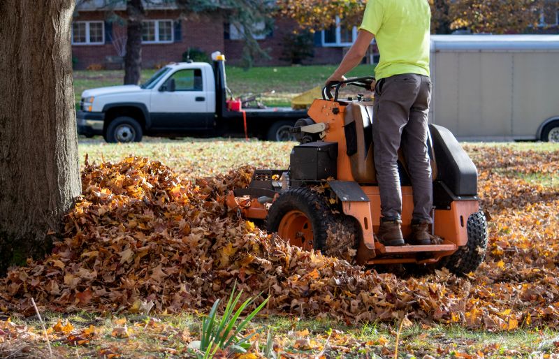 Roof Leaf Clearing
