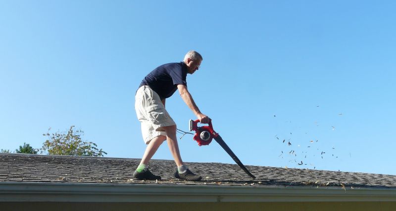 Roof Leaf Clearing