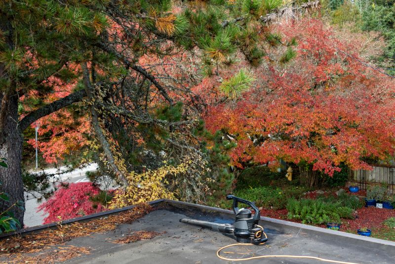 Roof Leaf Clearing