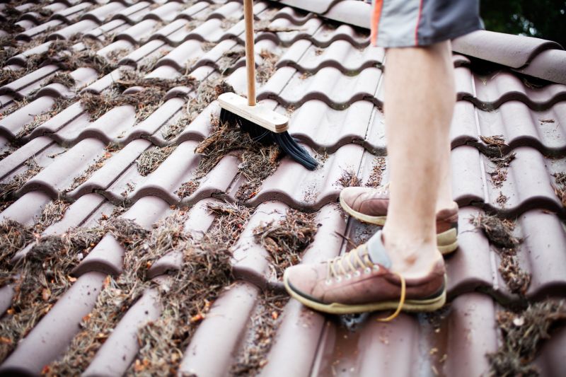 Roof Leaf Clearing