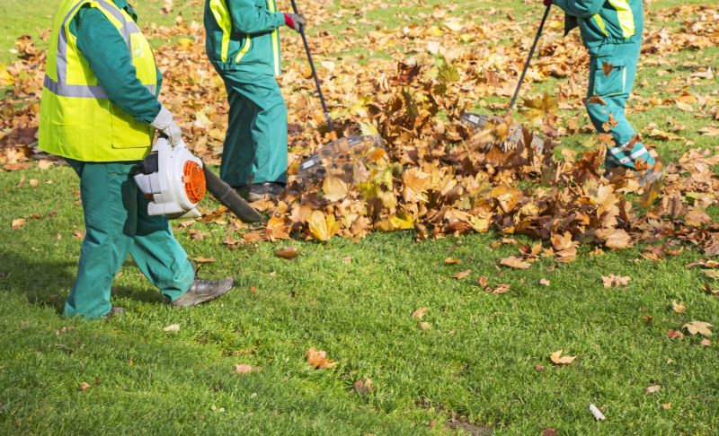 Roof Leaf Clearing