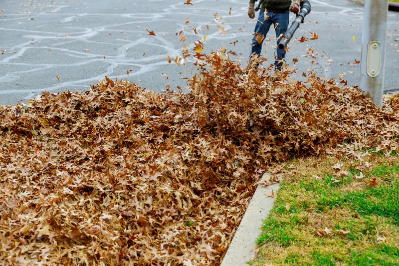 Roof Leaf Clearing