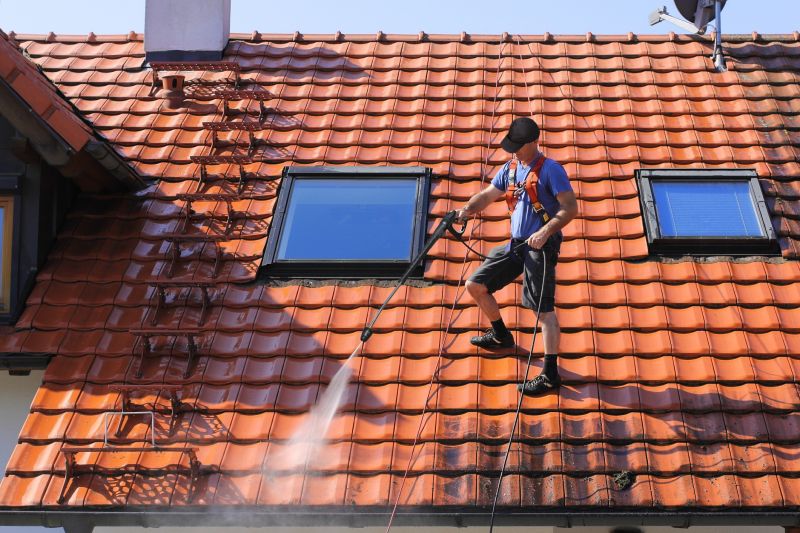 Expert Roof Cleaning