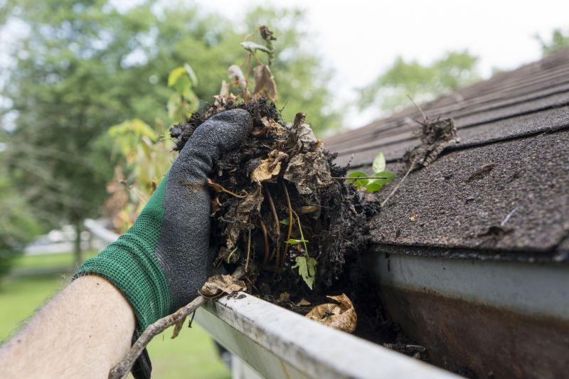 Roof Leaf Clearing