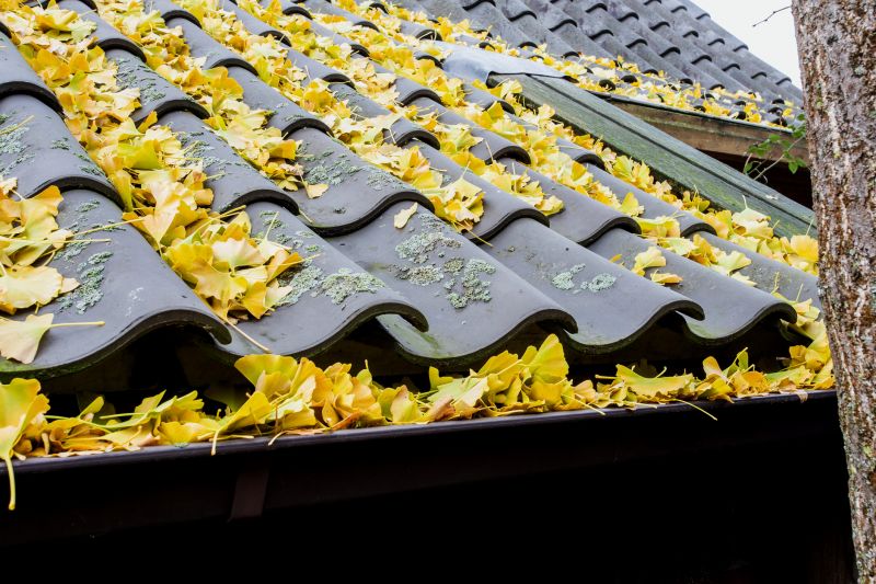 Roof Leaf Clearing