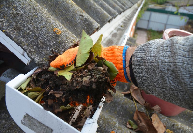 Roof Leaf Clearing