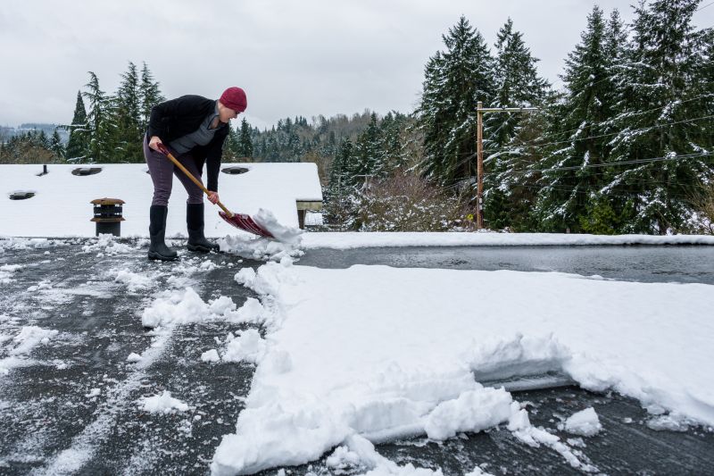 Roof Leaf Clearing