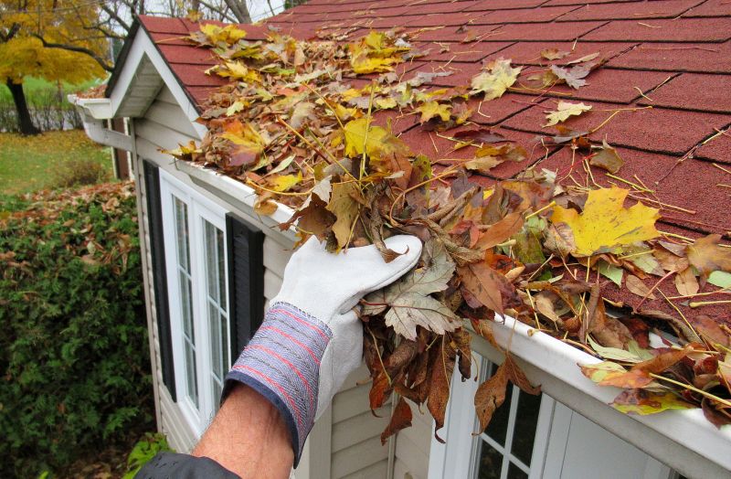 Post-Storm Roof Cleanup
