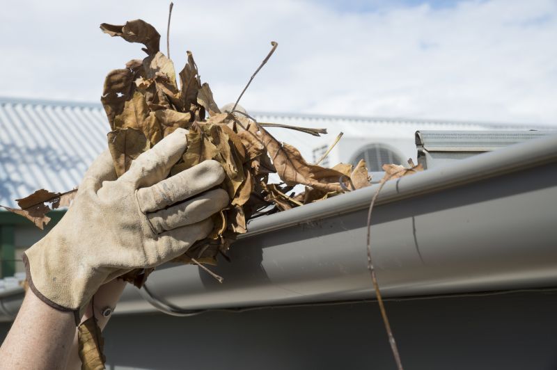 Roof Leaf Clearing Process