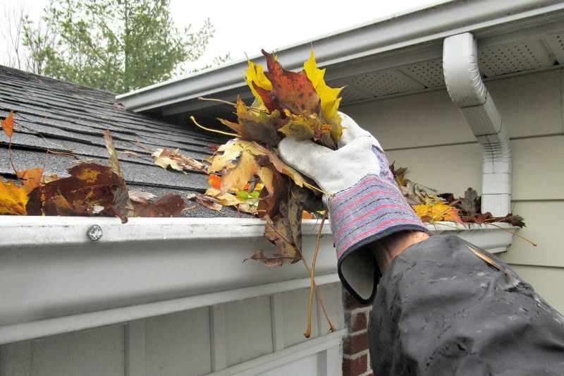 Clean Roof Gutters
