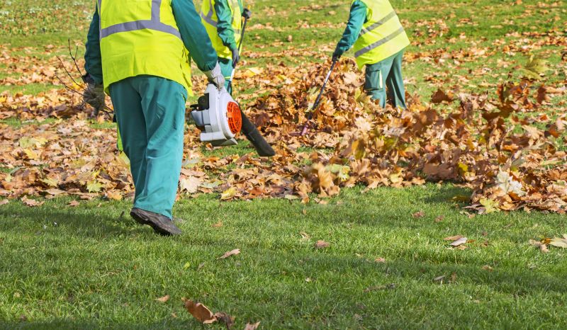 Roof Leaf Clearing Equipment