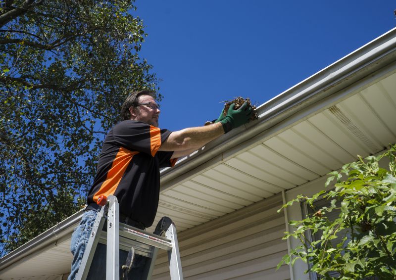 Specialized Gutter Cleaning Services